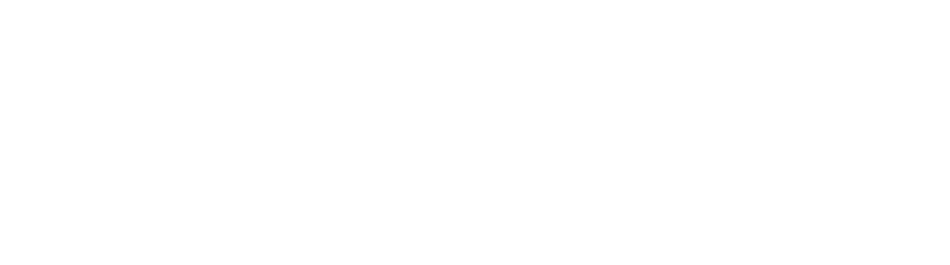 Tim Dahle Nissan logo